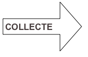 COLLECTE